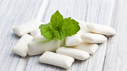 CTN103 the mint leaves and the chewing gum