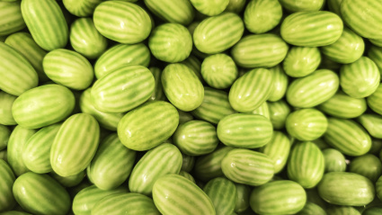 3D0J52R Detail of melon-flavored chewing gum, sweet and high in calories