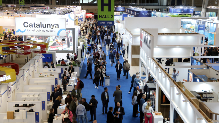 La gran fira del sector a L’Hospitalet de Llobregat mostra com el peix es transforma en productes ràpids, pràctics i pensats per al dia a dia