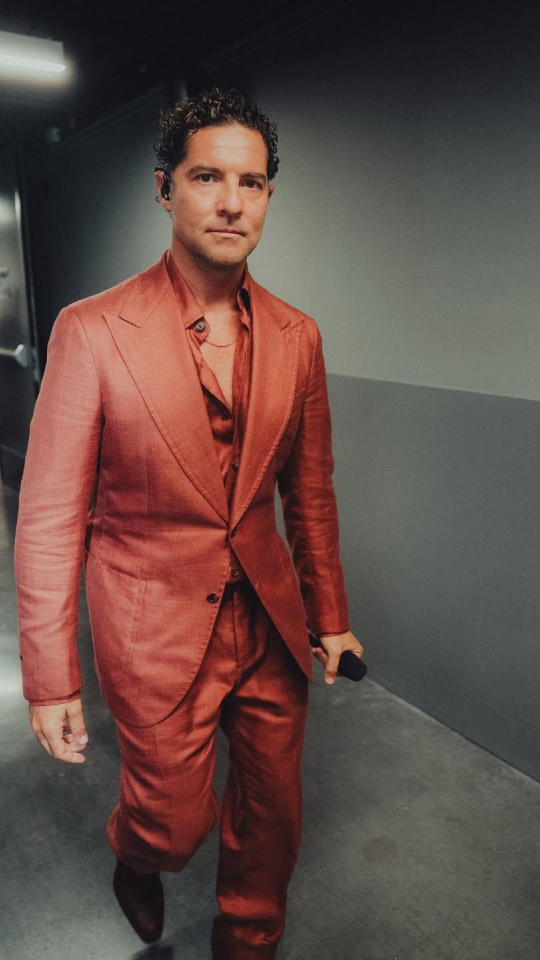 David Bisbal en redes sociales