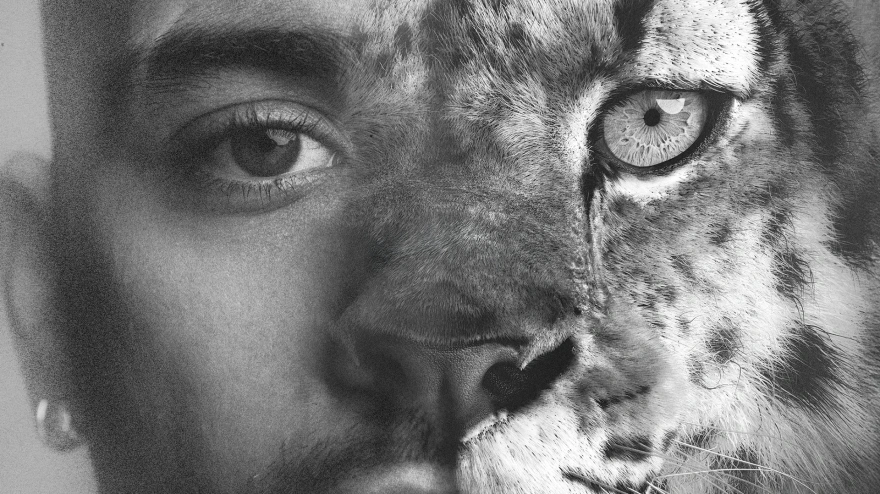 Fotografía de la portada del disco 'Konnakol' de Zayn